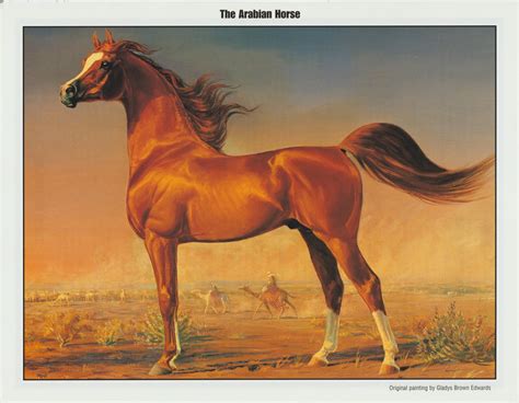 Printable Horse Posters